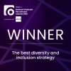 The best diversity and inclusion strategy award 2025, sponsored by Cappfinity
